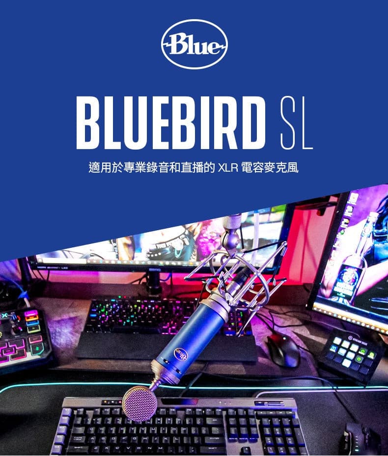 Bluebird SL 專業麥克風 - 羅技 Logi 網路旗艦店